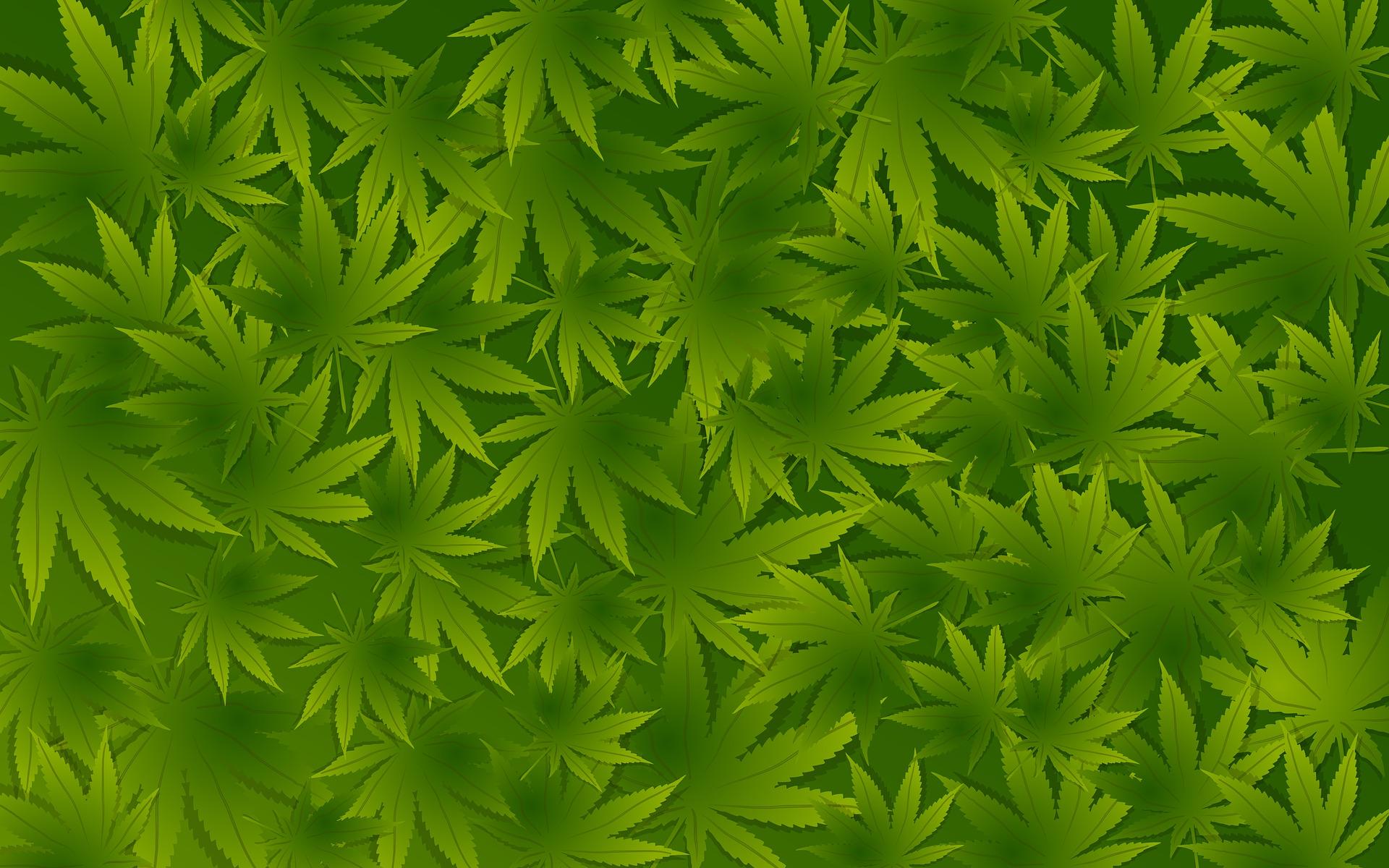 Vortrag CBD